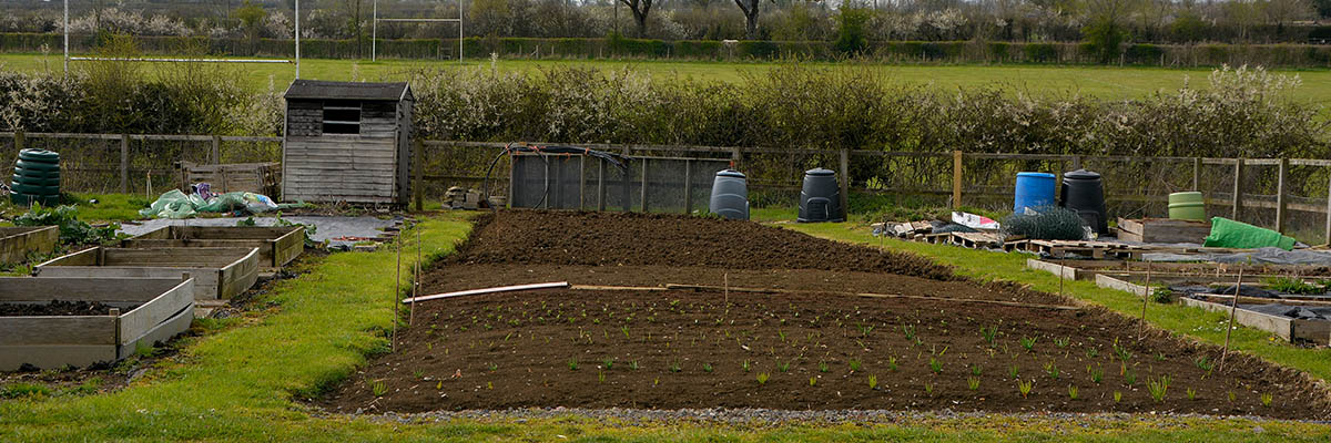 Allotments