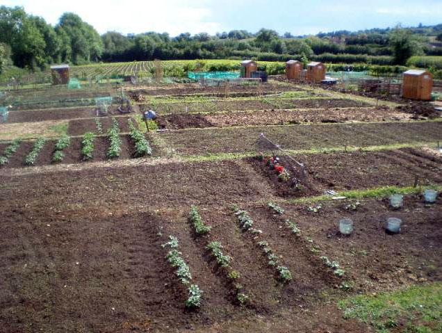 Allotments