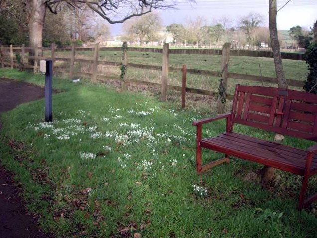 Open Spaces